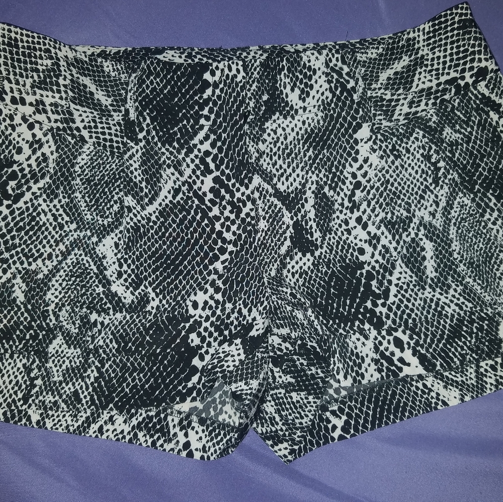 Express plaid winter shorts